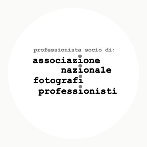 logo associazione nazionale fotografi professionisti TAU VISUAL fotografo matrimonio lamperti